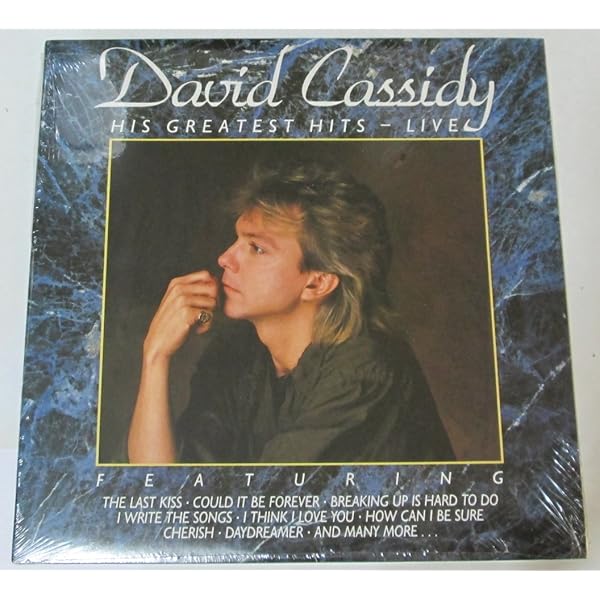 Amazon.com: I Think I Love You: CDs & Vinyl